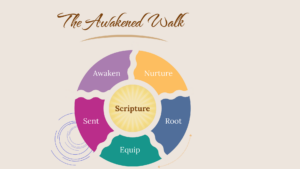 The Awakened Walk: guiding Christian women to walk with Jesus daily, live intentionally in His Word, and grow in faith.