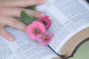 Woman’s hand resting on an open Bible surrounded by spring flowers, symbolizing renewal and fresh beginnings in quiet time with God